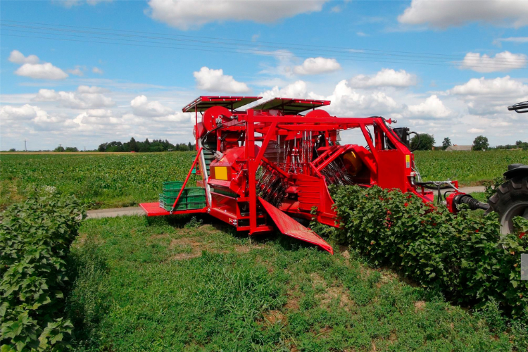 Agriculture Industry (2) Agriculture Industry (2)
